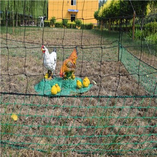 Пластична мрежа за трчање пилетине